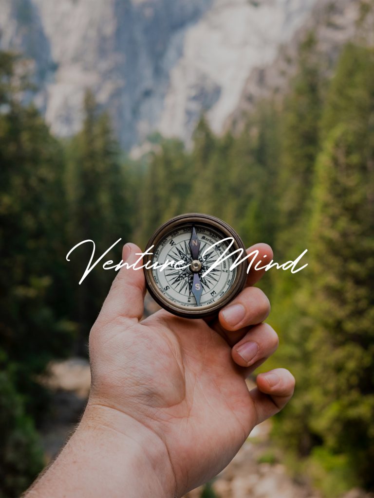 venturemind-2